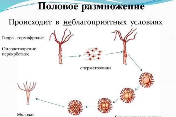 Кракен марихуана