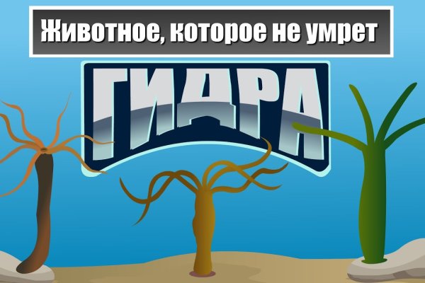 Что такое кракен даркнет